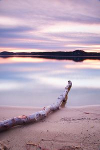 Long exposure landscape of lake shore with dead tree trunk fallen into water