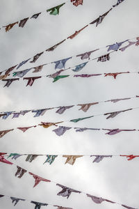 Low angle view of flags hanging on tree against sky