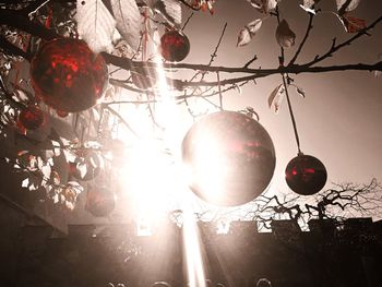 Low angle view of christmas decorations hanging from tree