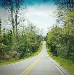 Empty road amidst trees against sky