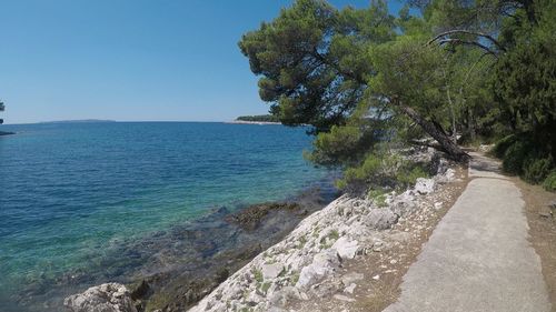 Scenic view of sea against clear blue sky