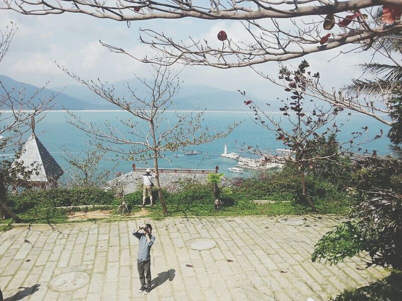 sky, tree, lifestyles, leisure activity, water, full length, rear view, men, day, nature, cloud - sky, person, outdoors, built structure, branch, sea, building exterior, architecture