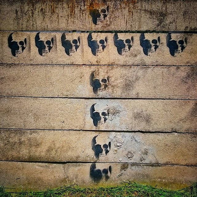 wall - building feature, text, animal themes, wall, built structure, architecture, western script, outdoors, day, no people, communication, building exterior, art and craft, textured, art, brick wall, shadow, wildlife, full frame, human representation