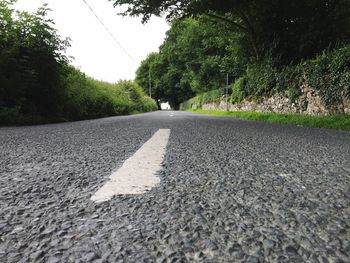 Road passing through trees