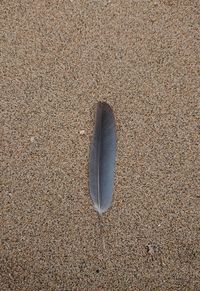 High angle view of sand on beach