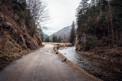 Road amidst trees against sky. koscieliska vallet. tatra mountains.