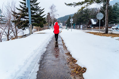 Rear view of woman standing on snow covered trees