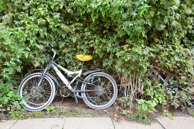 Plants parked in parking lot
