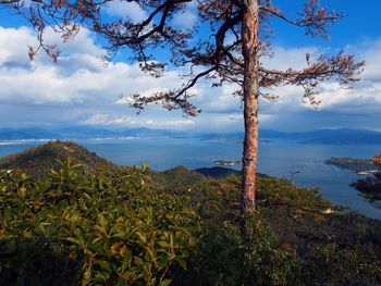 Scenic view of landscape against cloudy sky