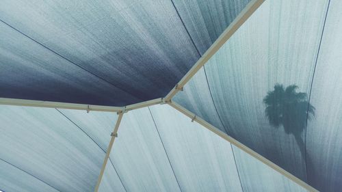 Shadow of palm tree on parasol