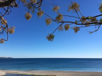 Scenic view of sea against clear blue sky