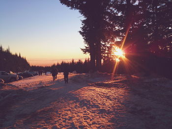 Snowy field by silhouette trees during sunset at mount seymour