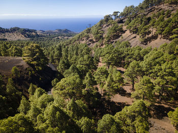 High angle view of trees and mountains against sky