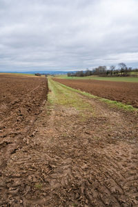 soil