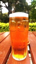 Close-up of beer glass on table