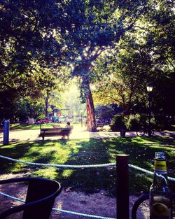 Empty bench in park