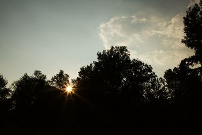 Silhouette of trees at sunset