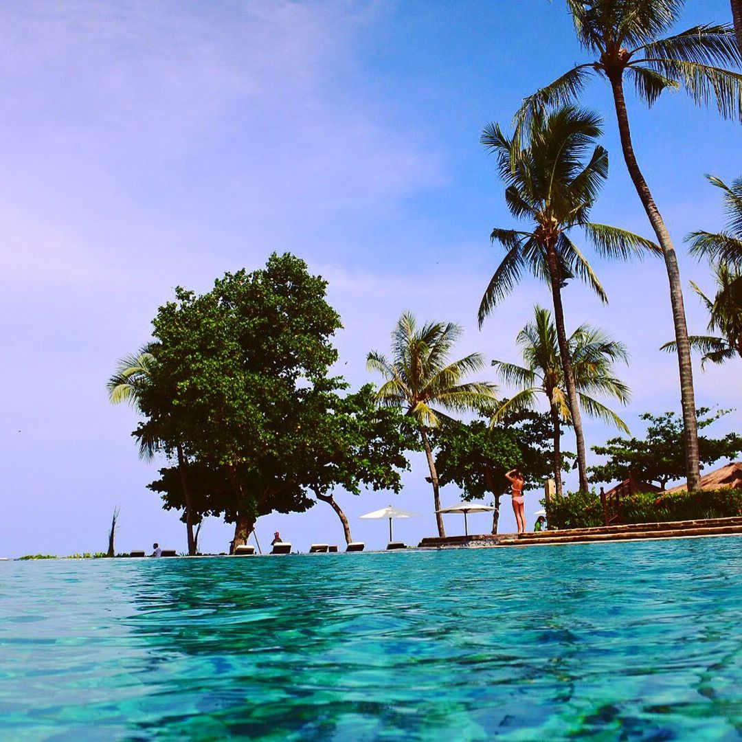 tree, water, waterfront, palm tree, tranquility, tranquil scene, sky, scenics, sea, beauty in nature, nature, blue, growth, rippled, idyllic, day, cloud, green color, outdoors, lake