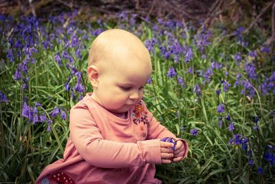 Cute boy looking at flowering plants on field