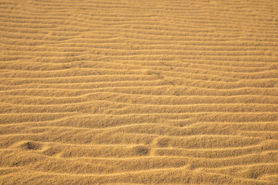 Full frame shot of sand dune