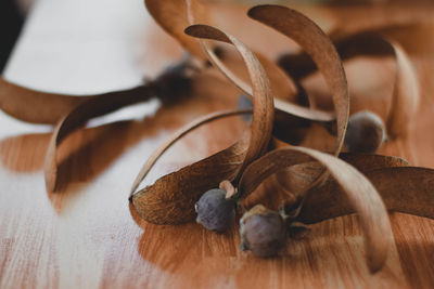 Close-up of dry leaf on table