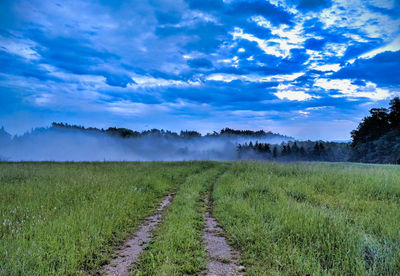 Scenic view of foggy grassland against darkling sky