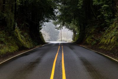 Empty road amidst trees