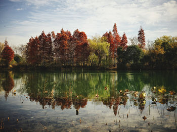 Scenic view of lake against sky