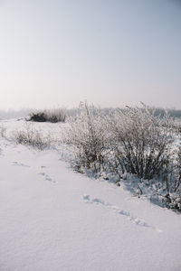 Scenic view of snow field against sky