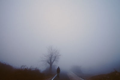 Rear view of man on road in foggy weather