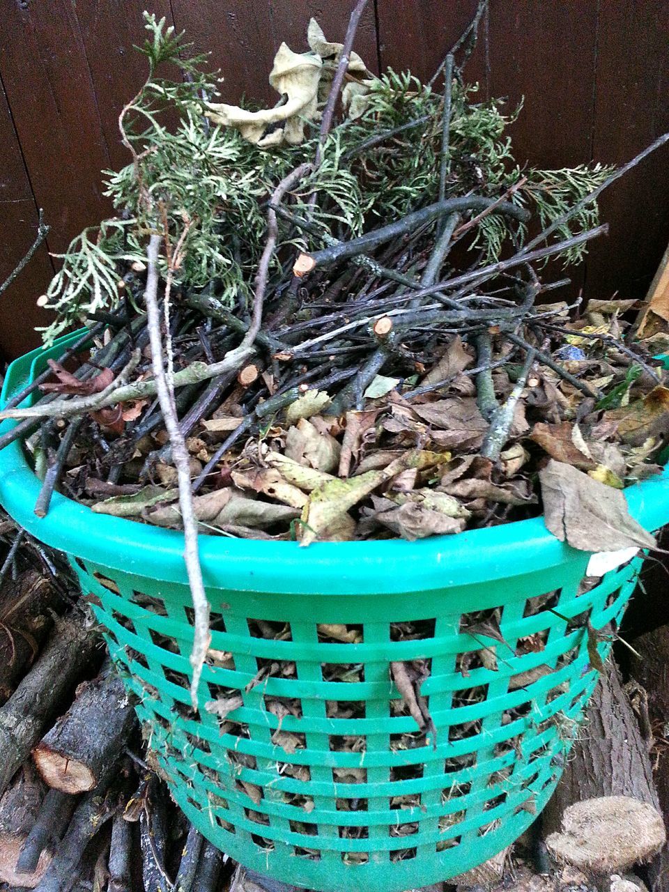 POTTED PLANTS IN THE YARD