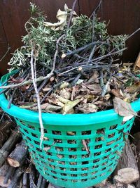 Potted plants in backyard