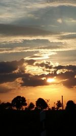 Silhouette of trees at sunset