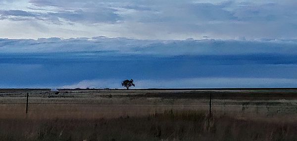 Scenic view of field against sky