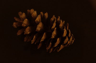 Close up of black background