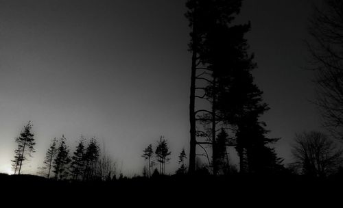 Low angle view of silhouette trees against sky