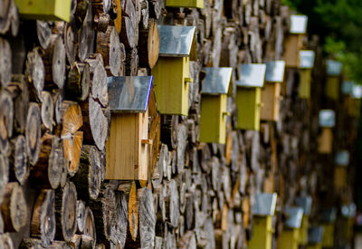 Close-up of cross hanging on wood