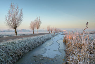 Bare trees on snow covered landscape against sky