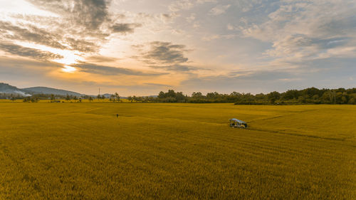 Scenic view of field against sky during sunset