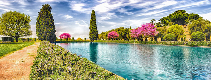 Plants by lake against sky