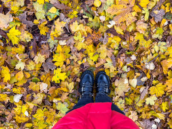 Low section of person standing on autumn leaves