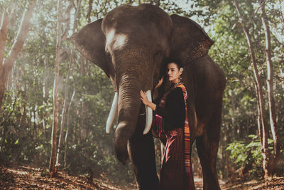 Rear view of woman standing against trees in forest