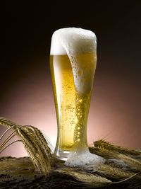 Close-up of beer glass on table