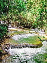 Scenic view of waterfall in forest against sky