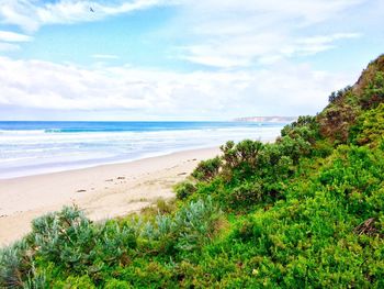 View of calm beach against blue sky