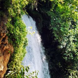 Scenic view of waterfall