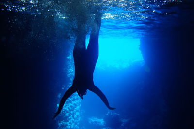 Swimming cave diving silhouette in blue sea waters of vava'u, tonga