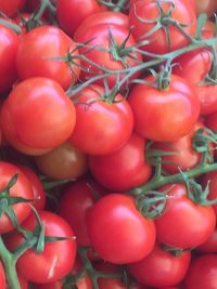 Full frame shot of tomatoes