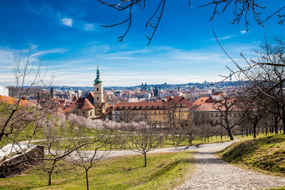 Prague city seen from the petrin gardens at the begining of spring