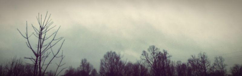 Low angle view of bare trees against sky